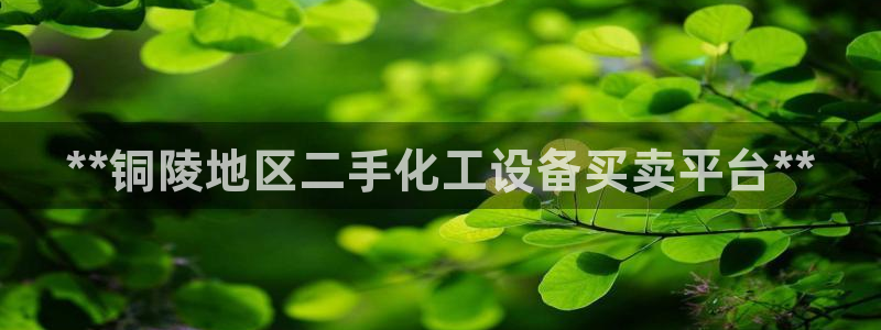 新航娱乐app官方免费下载安卓