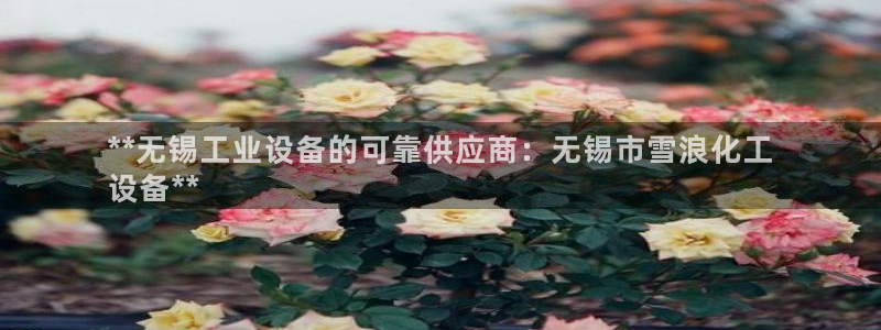 新航娱乐的背景和历史背景是什么