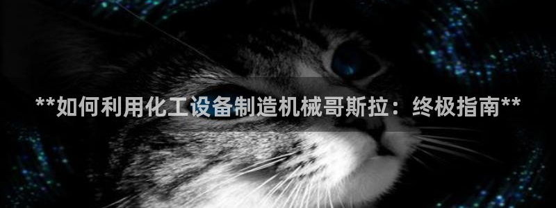 新航娱乐公司扣费流程详解表格