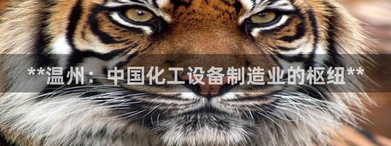 新航娱乐app最新版本更新内容是什么呢