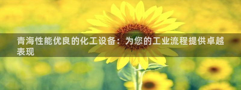 新航娱乐公司旗下艺人有哪些
