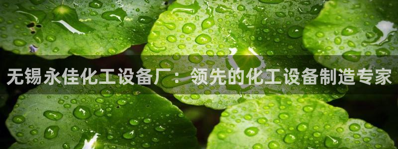 新航娱乐总代理是谁