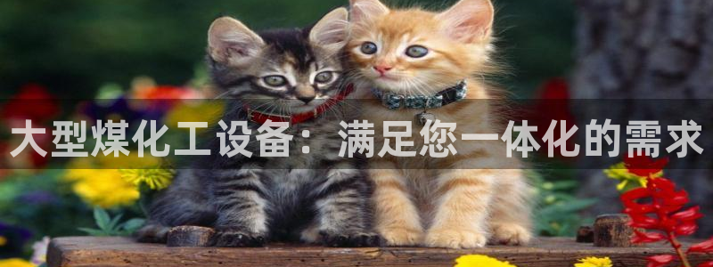 新航娱乐背后的老板