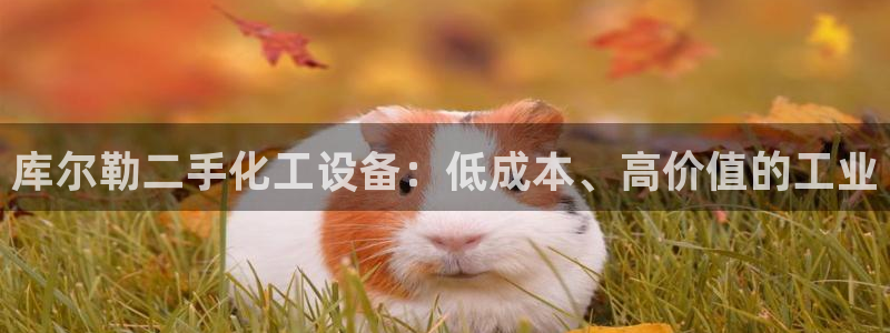 新航娱乐招商率合作 485624 怎么样
