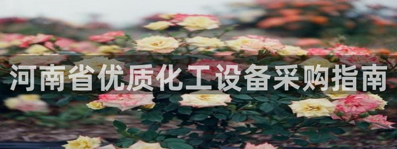新航娱乐属于什么级别