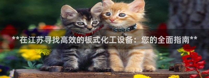 新航娱乐挂机.直开.中国(官方下载)