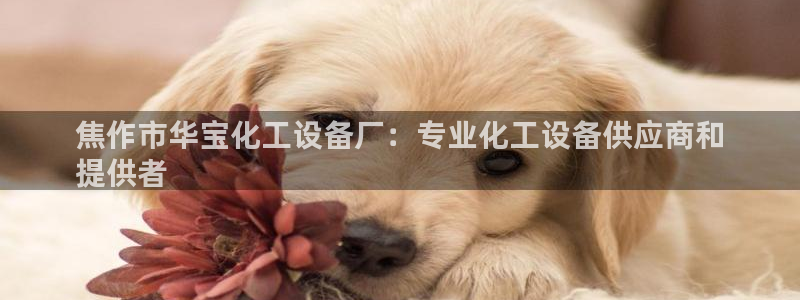 新航娱乐扣款退回步骤详解