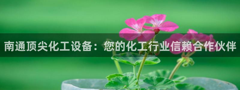 新航娱乐倒闭了吗知乎全文