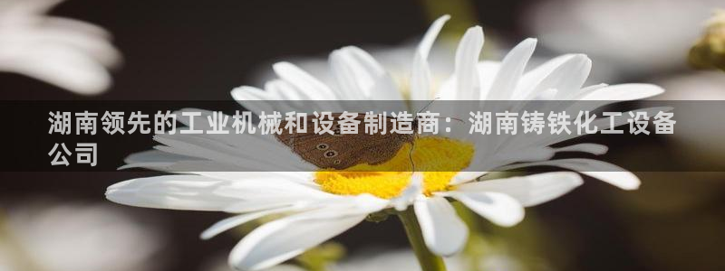 新航娱乐雀7IIII2联他前