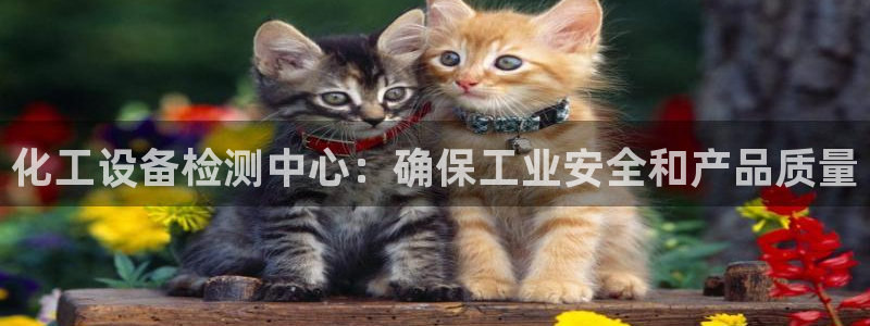 新航娱乐扣款后还能重新扣吗怎么操作