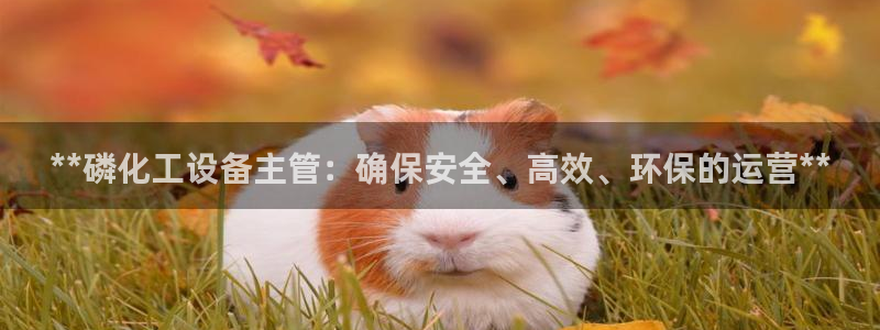 新航娱乐集团最新消息