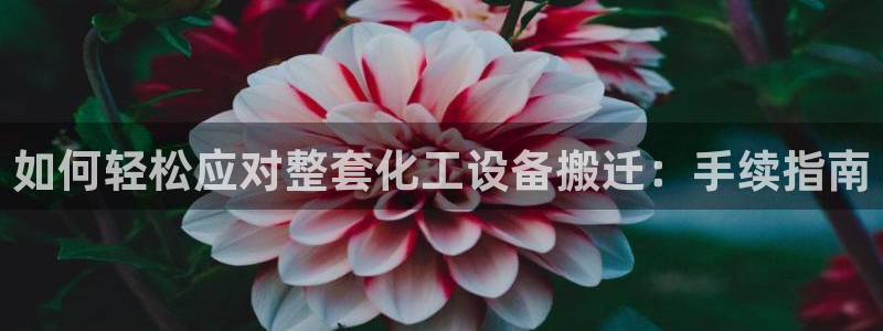 新航娱乐公司扣费流程详解图片大全