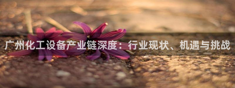 新航娱乐app官方免费下载苹果