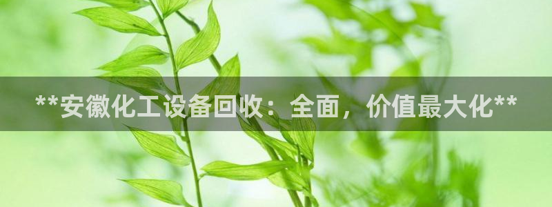 新航娱乐公司扣费流程详解表