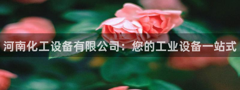 新航娱乐公司扣费流程详解表最新