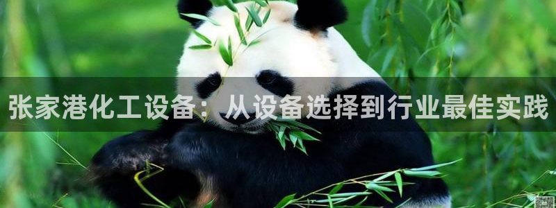 新航娱乐总代理是谁