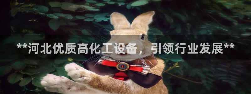 新航娱乐app官方免费下载安装