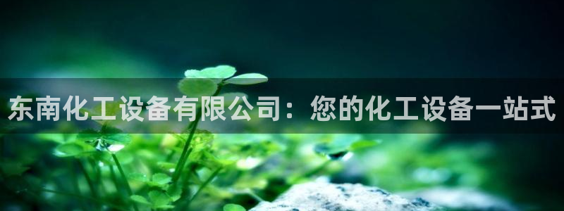 新航娱乐元哥