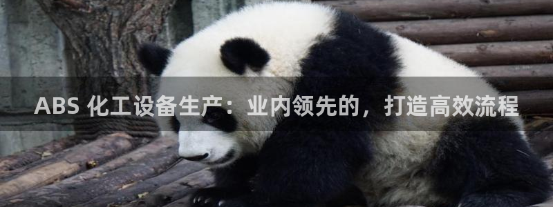 新航娱乐背后的老板是谁