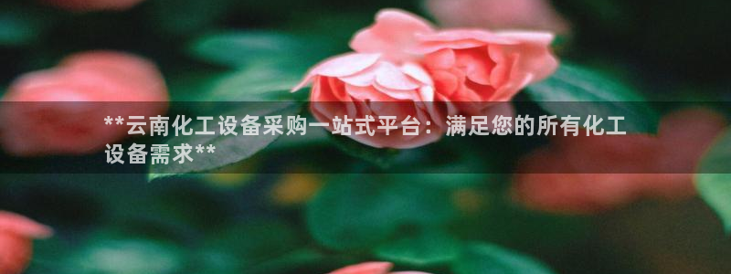 新航娱乐公司旗下艺人名单