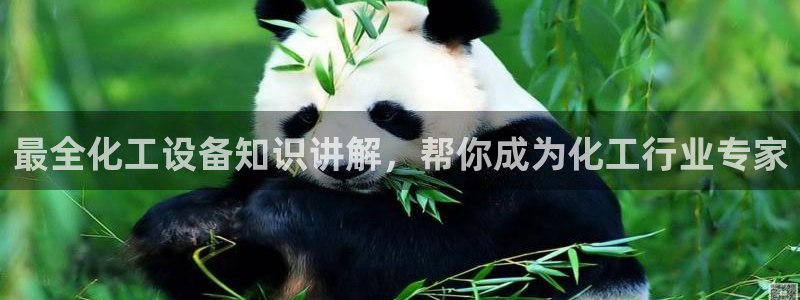 新航娱乐公司简介和历史背景分析