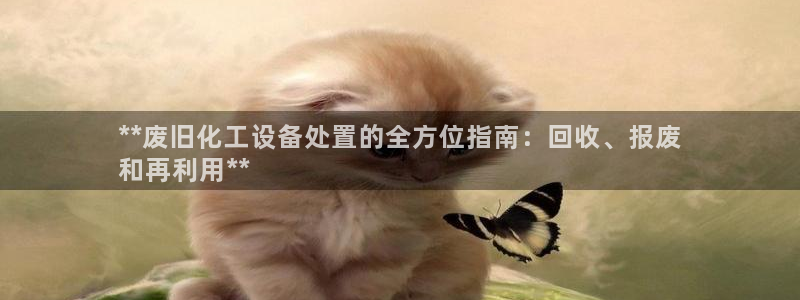 新航娱乐公司简介和历史背景介绍