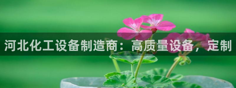 新航娱乐挂机.直开.中国(官方下载)
