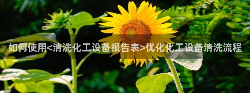 新航娱乐公司简介和历史背景分析