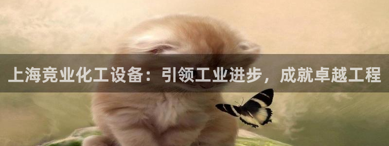 新航娱乐公司扣费流程详解表格