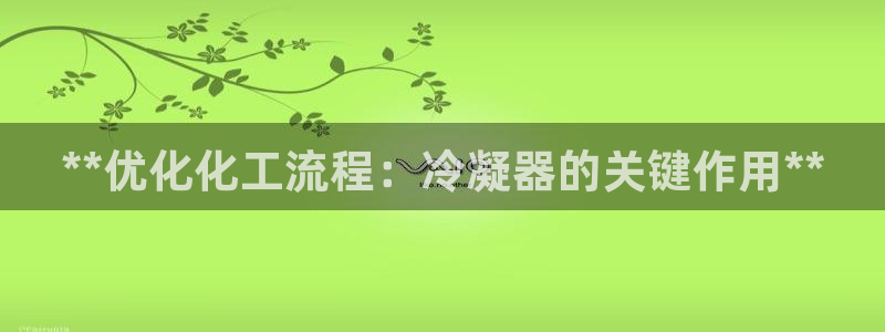 新航娱乐的背景和历史背景介绍