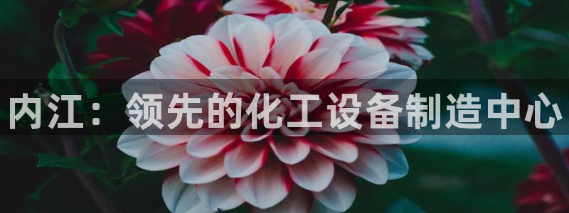 新航娱乐APP的最新版本更新内容