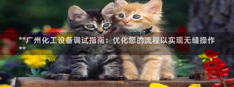 新航娱乐招商率合作 485624 怎么样