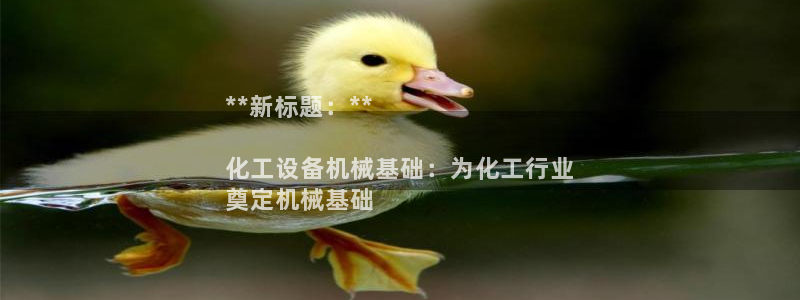 新航娱乐元哥