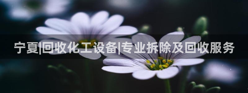 新航娱乐的创始人简介