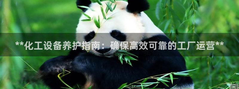 新航娱乐公司扣费流程详解表最新