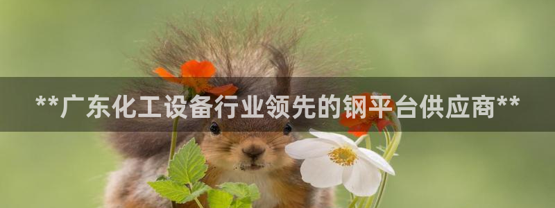 新航娱乐集团最新消息官网