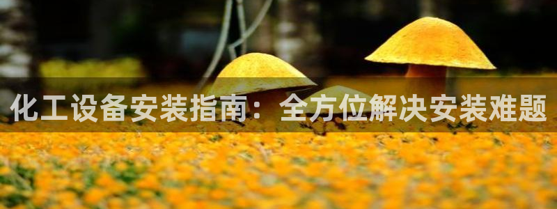 新航娱乐扣款是怎么回事：化工设备安装指南：全方位解