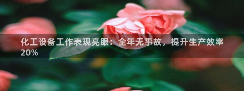 新航娱乐背后的老板：化工设备工作表现亮眼：全年无事