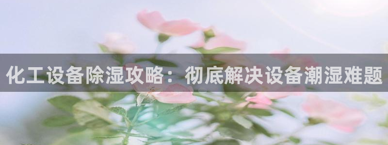 新航娱乐的员工工资福利及待遇怎么样