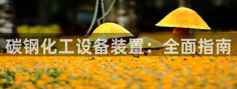 新航娱乐探索无限撼底空间