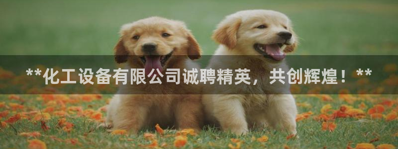 新航娱乐最新招聘信息