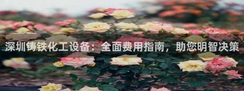 新航娱乐元哥