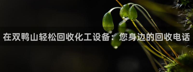 新航娱乐公司简介和历史背景怎么写