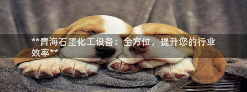 新航娱乐公司简介和历史背景怎么写