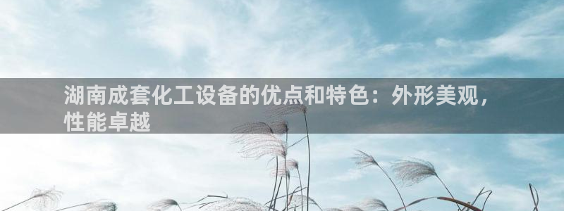 新航娱乐公司旗下艺人名单