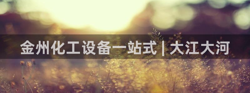新航娱乐公司旗下艺人有哪些：金州化工设备一站式 |