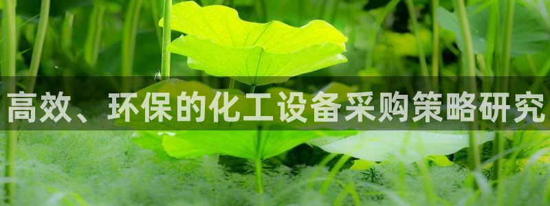 新航娱乐APP的最新版本更新内容：高效、环保的化工