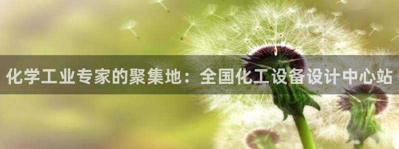 新航娱乐公司简介和历史背景