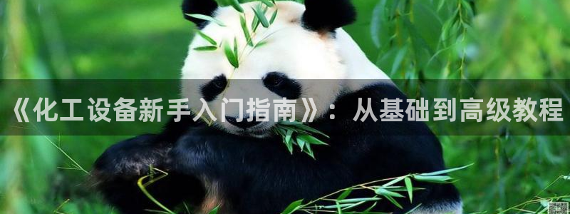 新航娱乐公司扣费流程详解