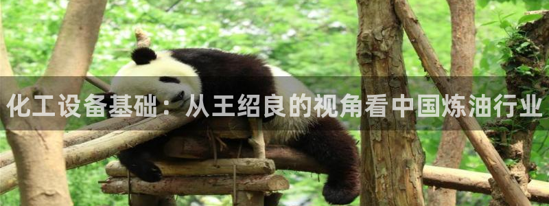 新航娱乐平台最新版本更新内容：化工设备基础：从王绍